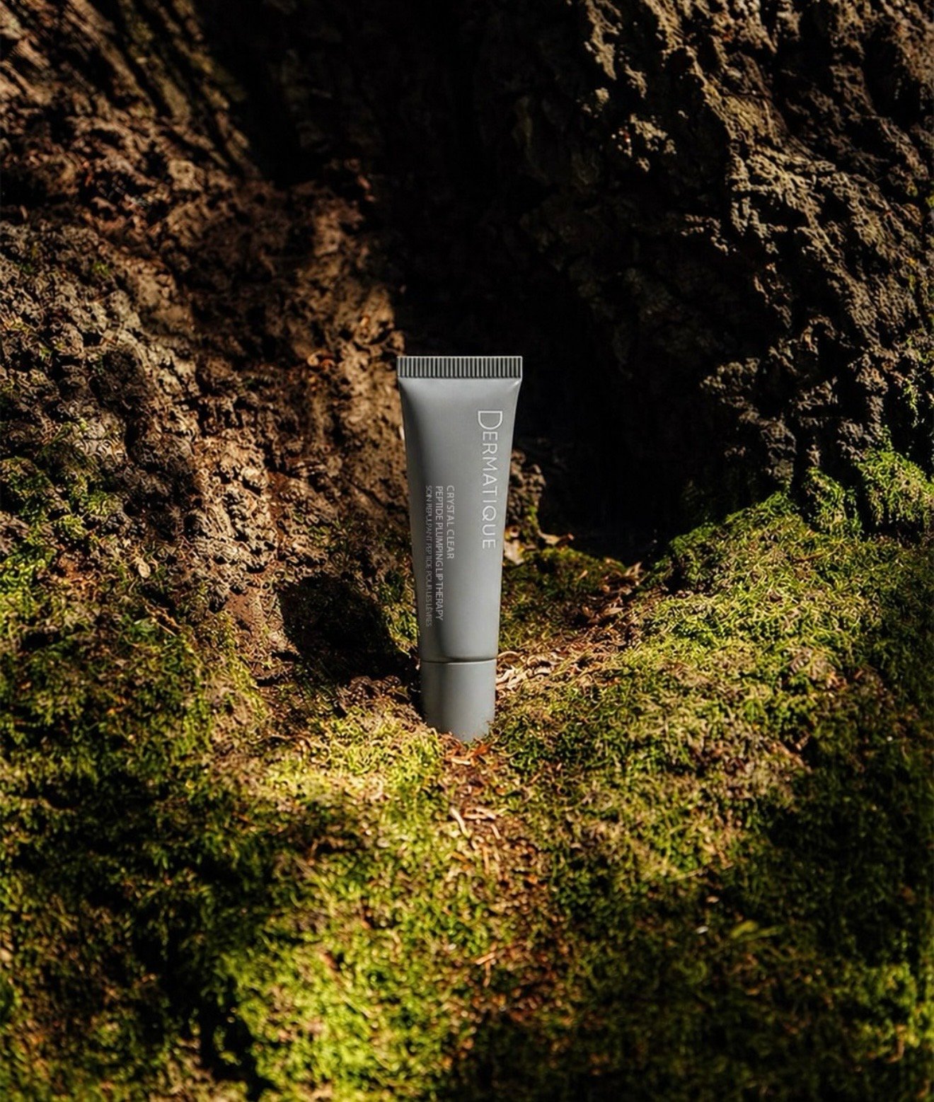 Dermatique product on mossy bark